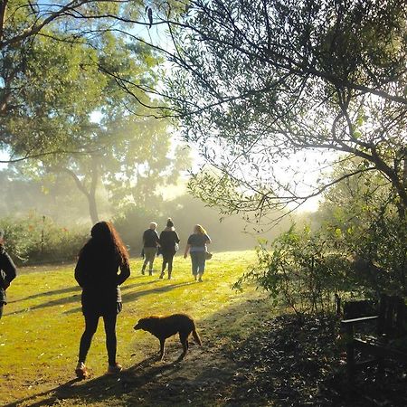 Kurrajong Trails & Cottages Wheeny Creek Esterno foto