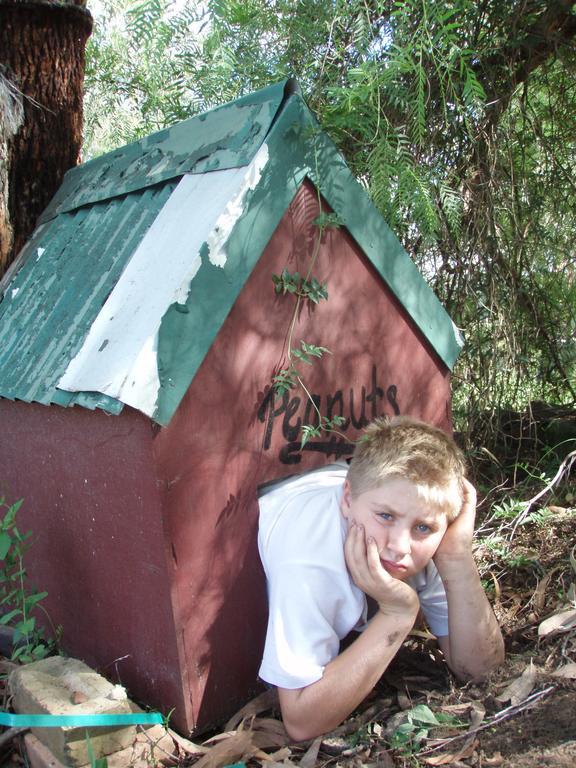 Kurrajong Trails & Cottages Wheeny Creek Esterno foto