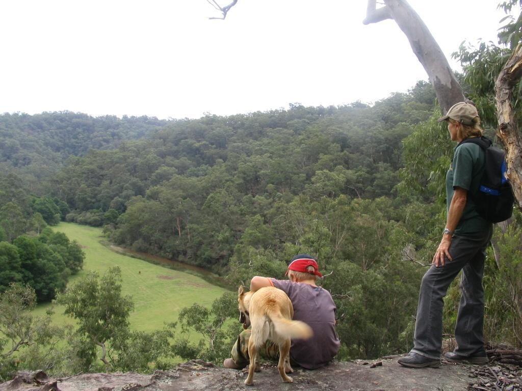 Kurrajong Trails & Cottages Wheeny Creek Esterno foto