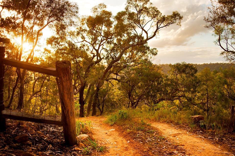 Kurrajong Trails & Cottages Wheeny Creek Esterno foto