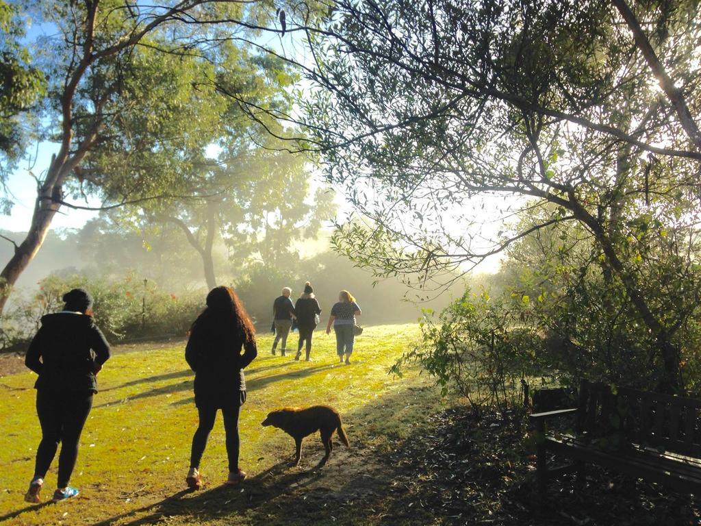 Kurrajong Trails & Cottages Wheeny Creek Esterno foto