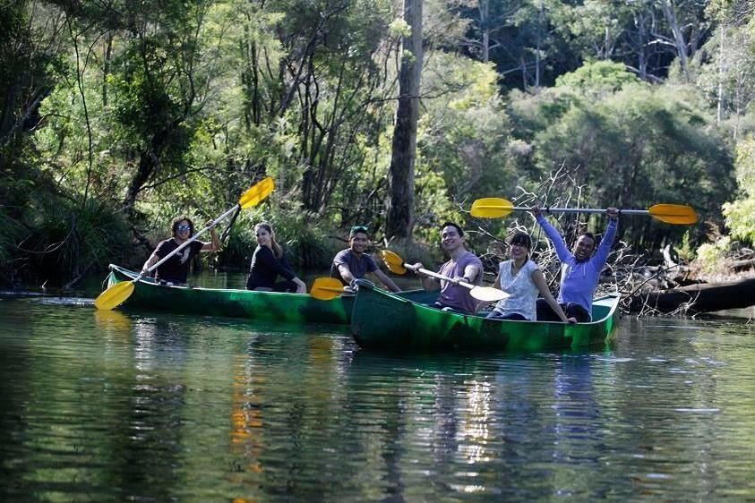 Kurrajong Trails & Cottages Wheeny Creek Esterno foto