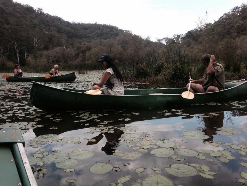 Kurrajong Trails & Cottages Wheeny Creek Esterno foto