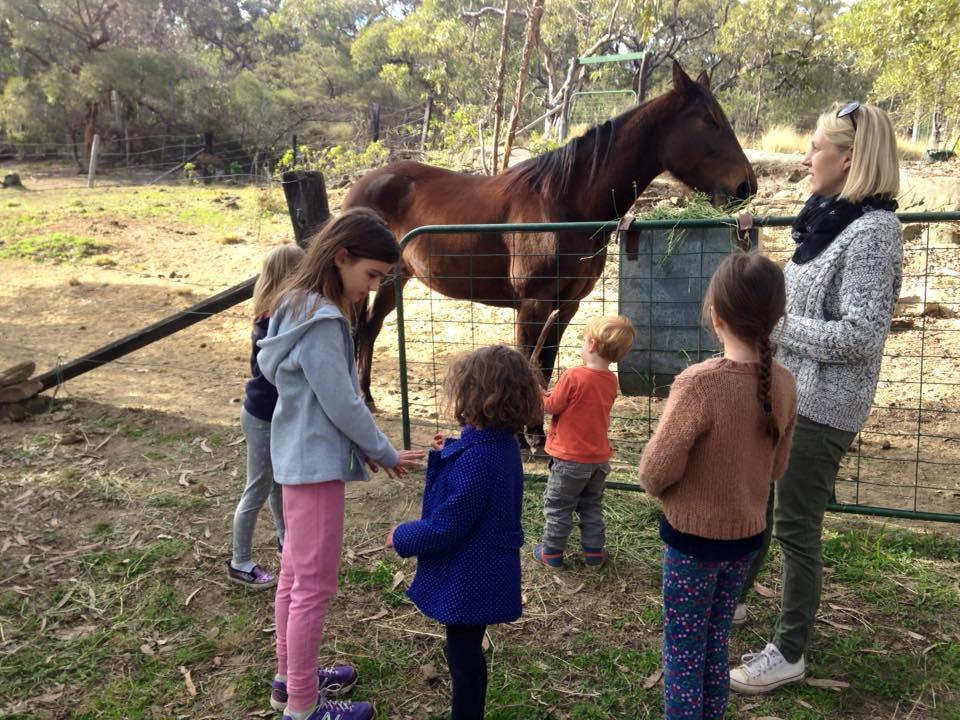 Kurrajong Trails & Cottages Wheeny Creek Esterno foto