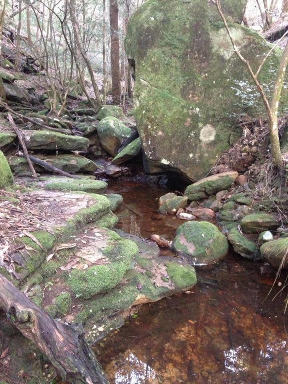 Kurrajong Trails & Cottages Wheeny Creek Esterno foto