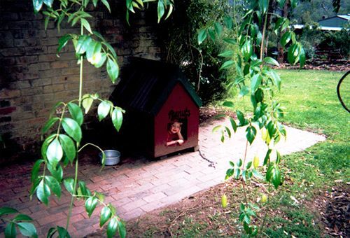 Kurrajong Trails & Cottages Wheeny Creek Esterno foto